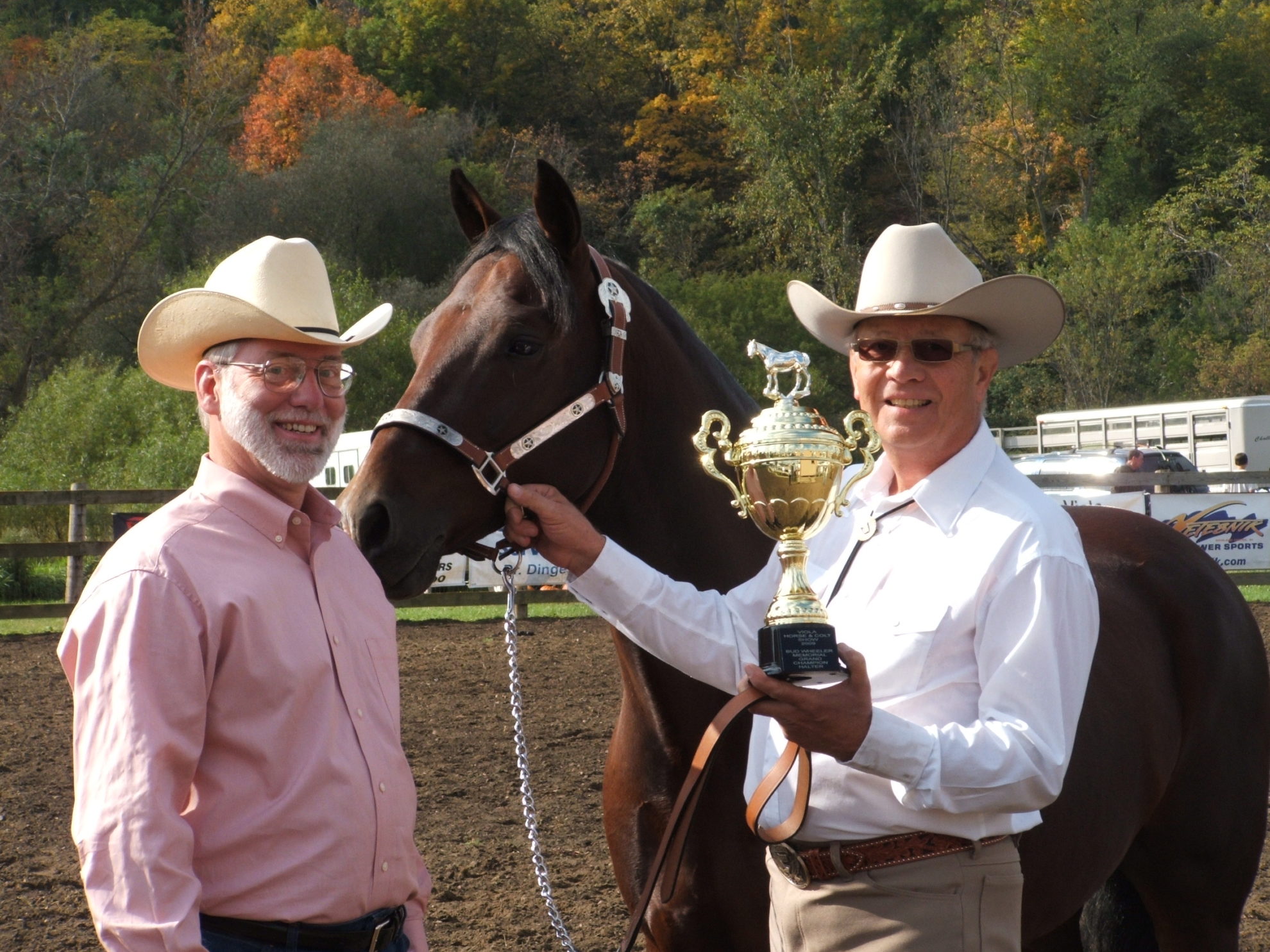 Horse Show Viola Horse and Colt Show