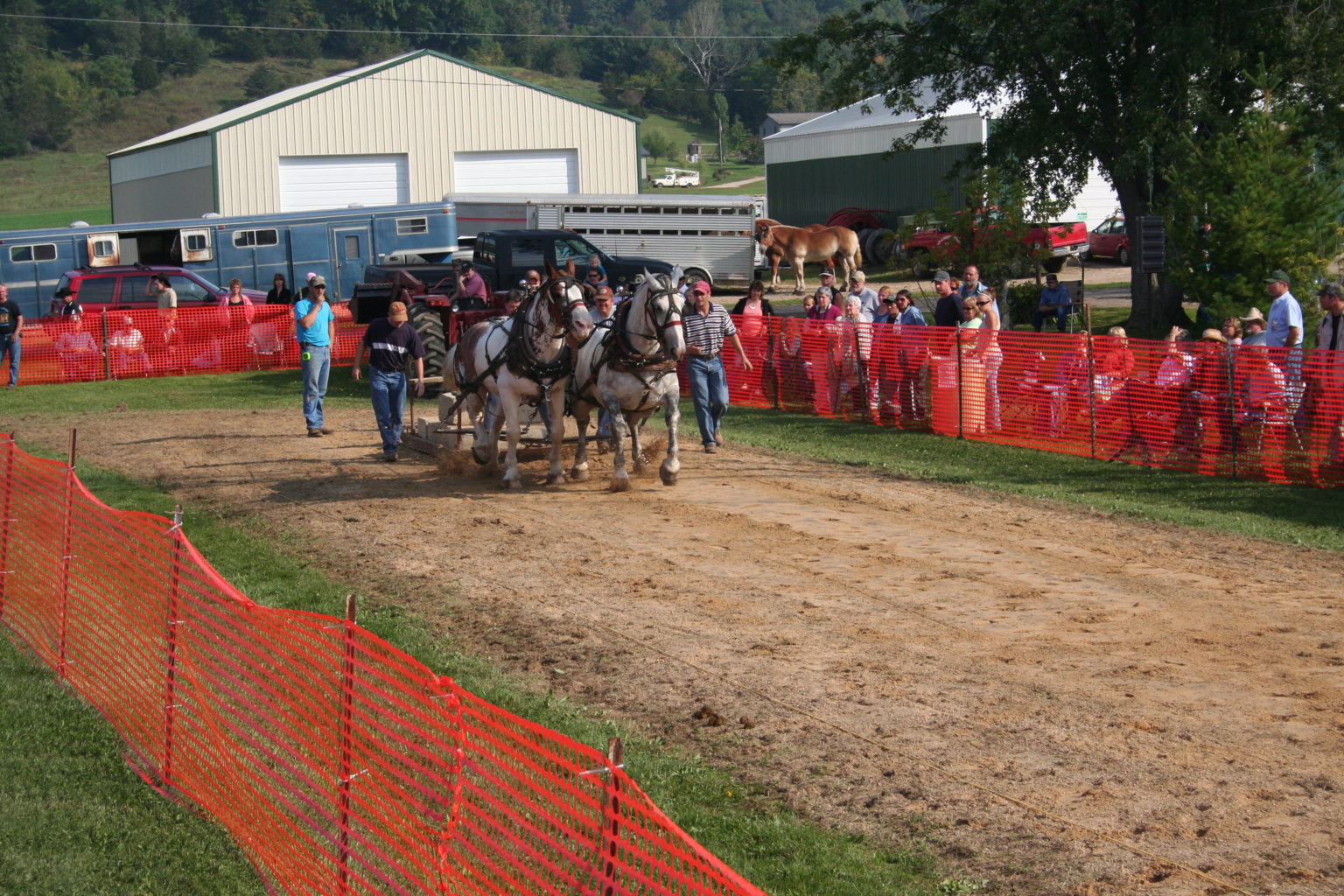 Horse Pulling Contest Viola Horse and Colt Show
