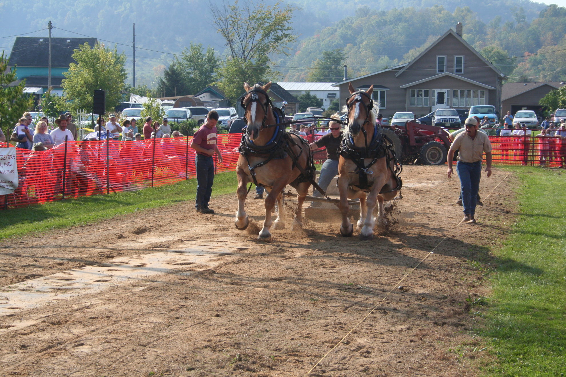 Horse Pulling Contest Viola Horse and Colt Show