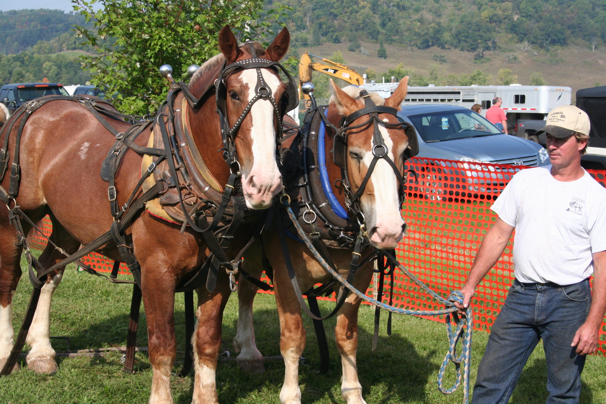 Horse Pulling Contest Viola Horse and Colt Show