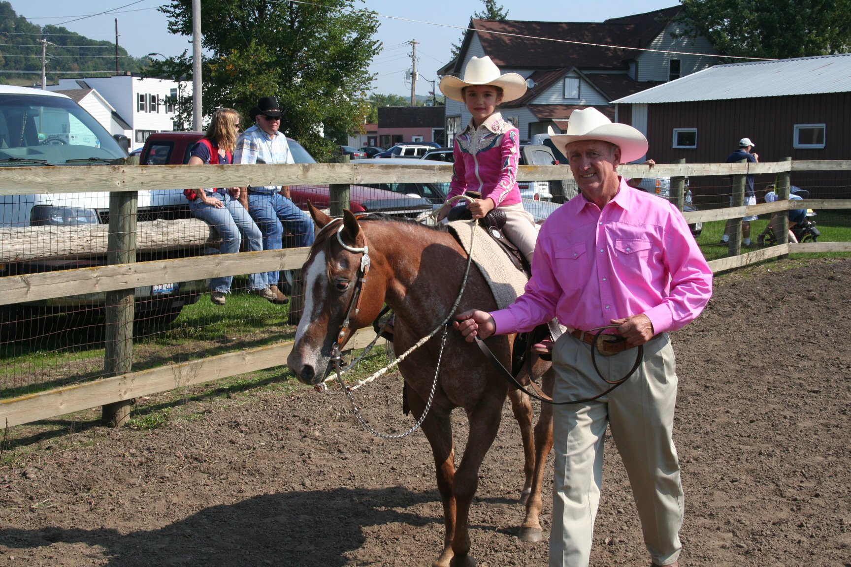 Horse Show Viola Horse and Colt Show