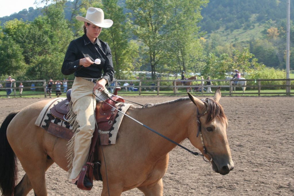 Horse Show Viola Horse and Colt Show