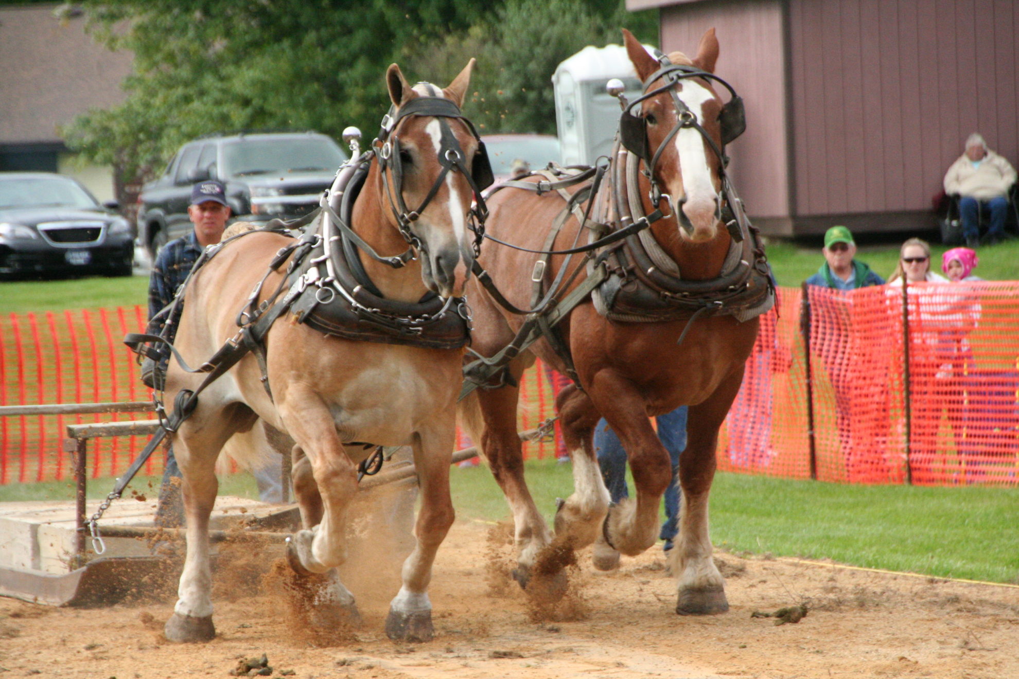 Horse Pulling Contest Viola Horse and Colt Show