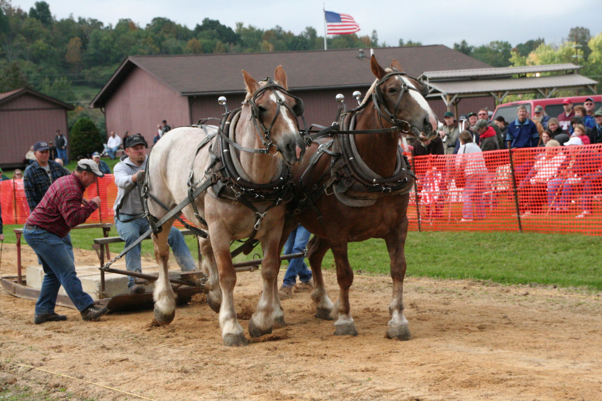 Horse Pulling Contest Viola Horse and Colt Show