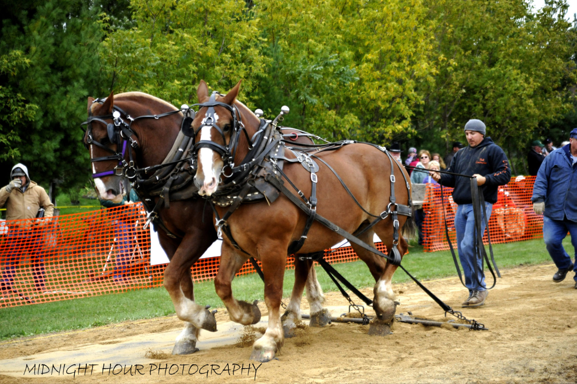 Horse Pulling Contest Viola Horse and Colt Show