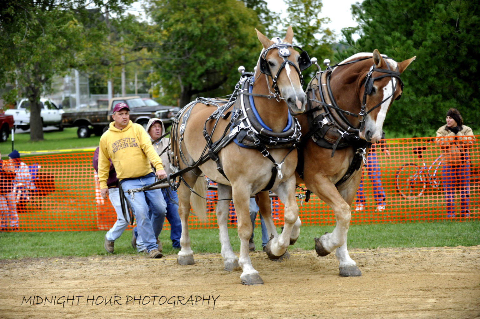 Horse Pulling Contest Viola Horse and Colt Show